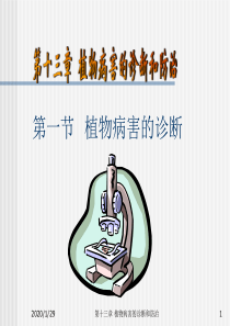 017第十三章植物病害的诊断和防治