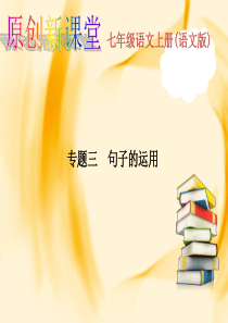 专题三 句子的运用