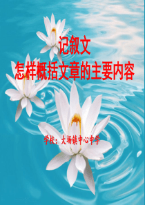 概括文章的主要内容