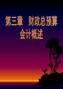 预算会计第3章第4章 第一节