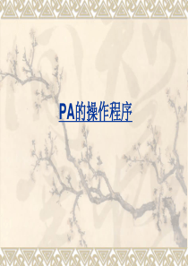 PA操作程序
