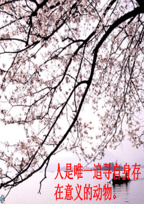 我为什么而活着 ppt课件6