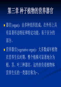 第三章_种子植物的营养器官-1