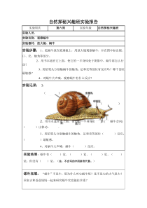 观察蜗牛的实验报告