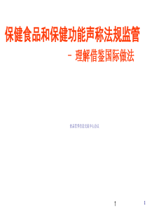 医学知识讲解ppt模板：Ingestievreemdev