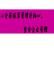 用友U8全面预算管理