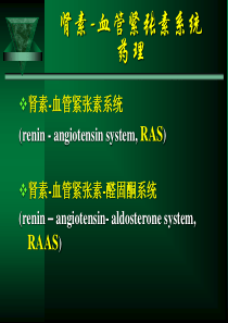 11-7肾素-血管紧张素系统药理利尿药