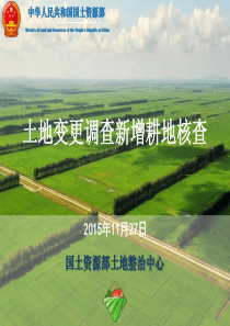 9_2015年度全国土地变更调查新增耕地核查