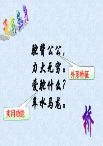 17.《中国石拱桥》PPT