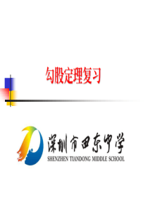 勾股定理复习(北师大版)