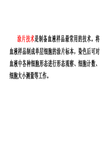 实验二血涂片制备白细胞分类计数-PPT文档资料