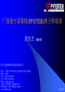 菲斯特(PFISTER)转子秤转子称备件