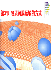 物质跨膜运输的方式课件公开课