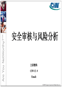 安全审核与风险分析