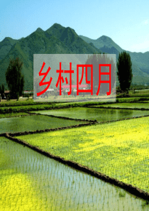 23.古诗词三首(完美版) 2