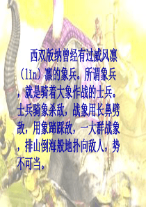 23.最后一头战象81880