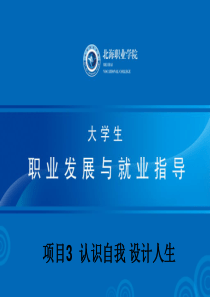项目3  认识自我 设计人生
