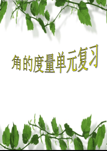 65角的度量整理和复习