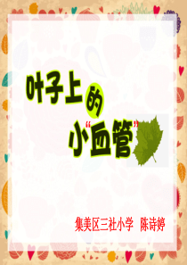 第八课叶子上的小血管