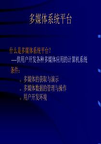 多媒体系统平台