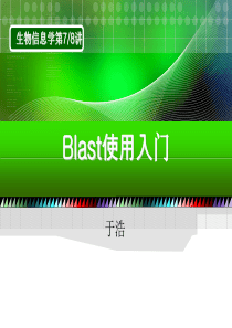 Blast使用入门