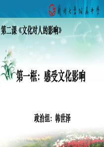 感受文化影响2015年公开课ppt