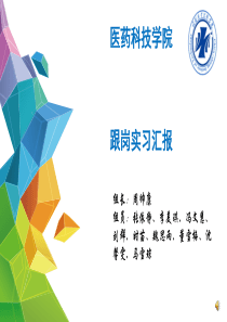 跟岗实习汇报--获奖PPT