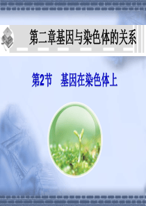 高二生物课件：基因在染色体上