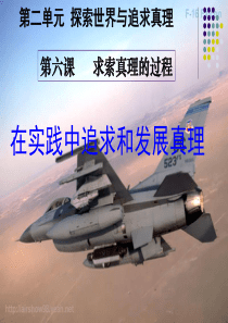 6.2《在实践中追求和发展真理》课件(新人教必修4)