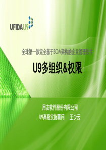 U9多组织&权限