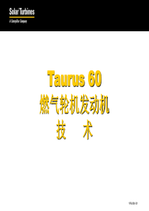 Taurus 60透平培训