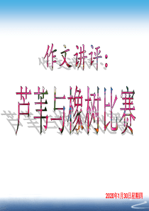 作文讲评：芦苇与橡树比赛