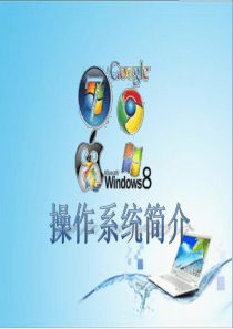 操作系统简介