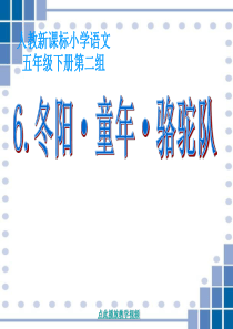 62【冬阳童年骆驼队__PPT课件