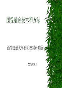 图像融合技术概述-Read