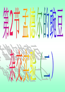 孟德尔的豌豆杂交实验(二)公开课