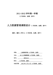 沈阳华晨汽车有限公司人员招聘方案设计(1)