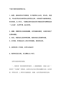 饰品的分辨和清洗方法