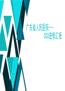 99进修汇报