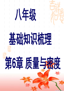 八第六章质量与密度复习PPT