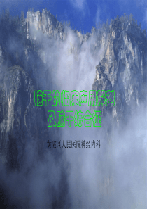 脑干的临床应用解剖及脑干综合征2