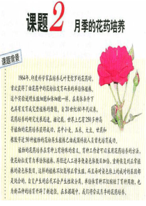 32月季的花药培养(经典)