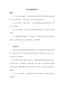养水培植物的窍门
