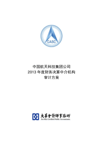 2013年度财务决算审计方案