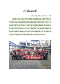 川化实习总结