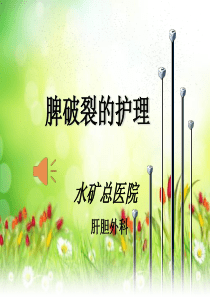 脾破裂的护理(1)
