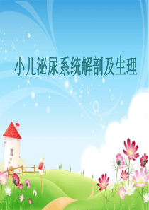 小儿泌尿系统