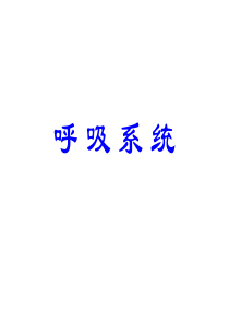 33呼吸系统解剖