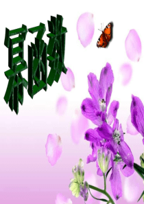 幂函数