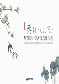 蔡甸都市田园综合体总体规划